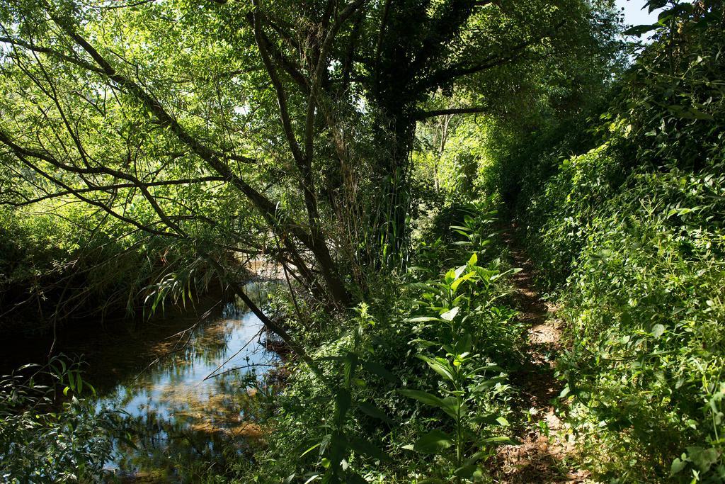 Recanto Da Ribeira Casas De Campo Моншіке Екстер'єр фото