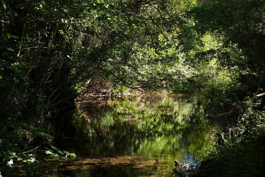 Recanto Da Ribeira Casas De Campo Моншіке Екстер'єр фото